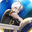 thespike排球高手
