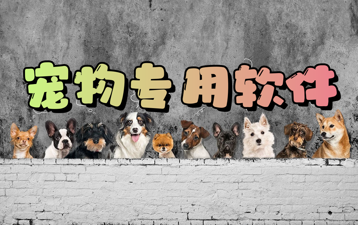 宠物专用软件