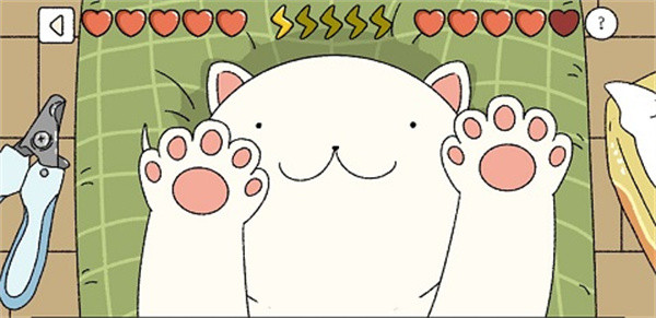 怎么和猫咪互动配图1