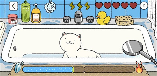 怎么和猫咪互动配图2