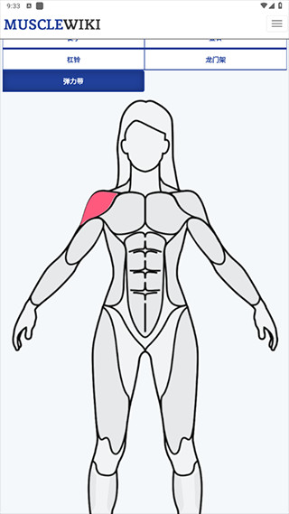 musclewiki安卓app下载官方2026最新版