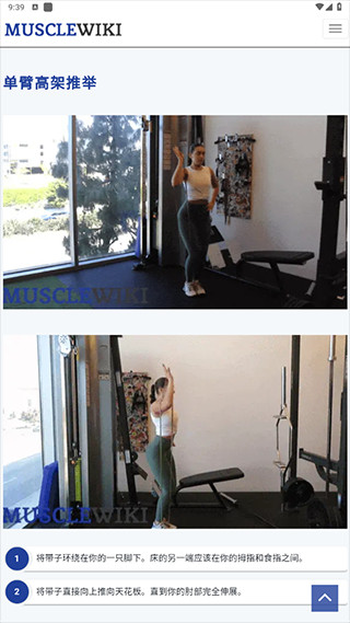 musclewiki安卓app下载官方2026最新版
