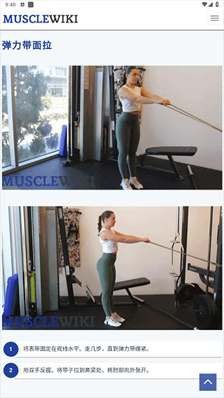 musclewiki安卓app下载官方2026最新版