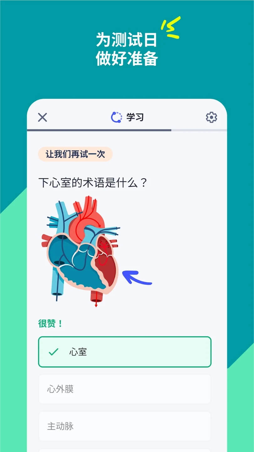 quizlet中文版本