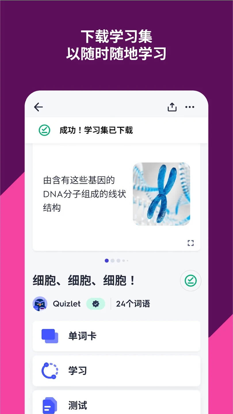 quizlet中文版本