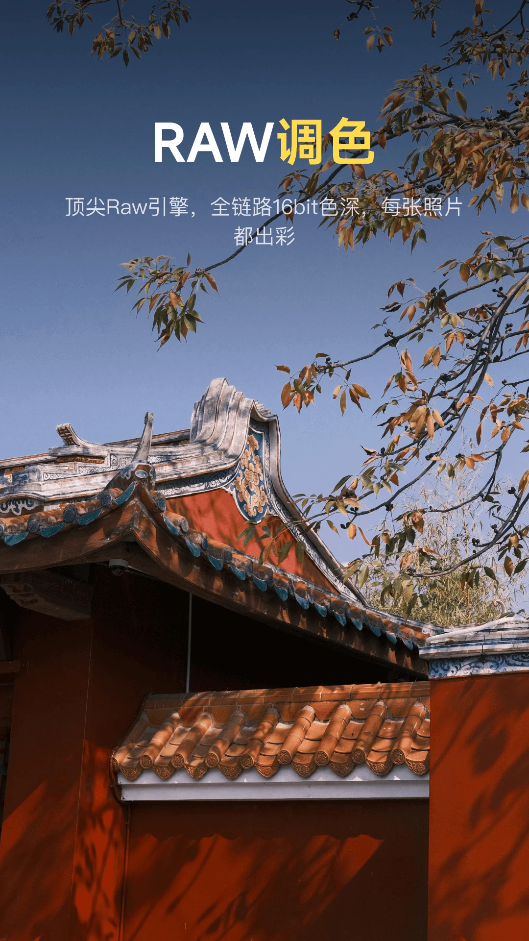 像素蛋糕手机版