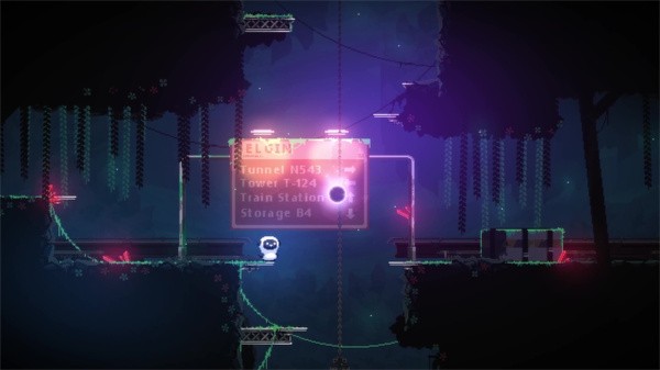 小绵羊的朝圣之路