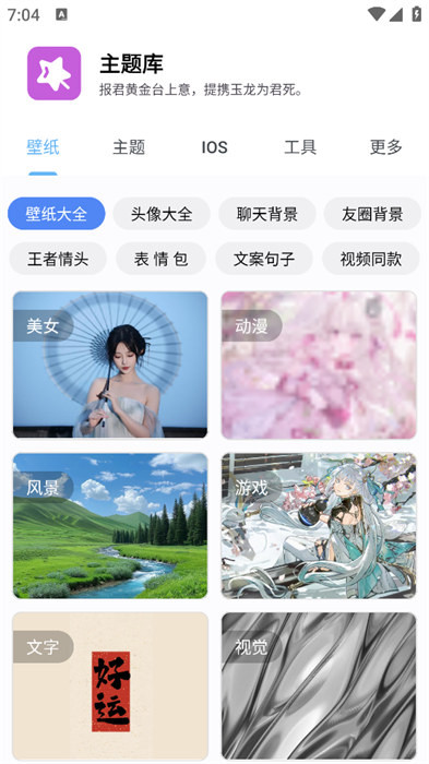 主题库pro免费版