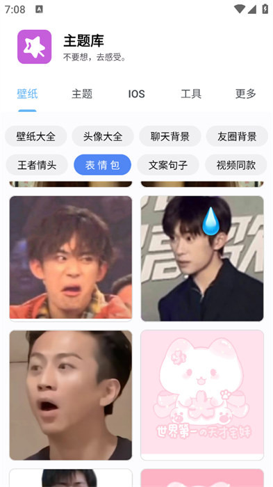 主题库pro免费版