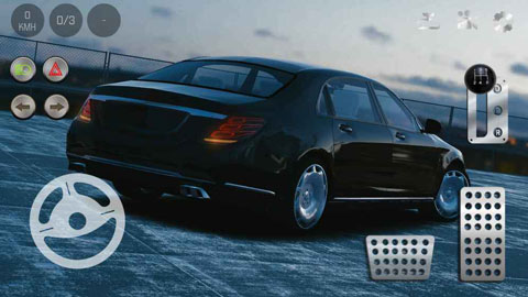 真实泊车2中文版