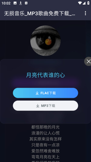 梨子音乐无损音乐下载器app下载-梨子音乐免费听歌软件安卓下载