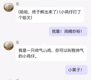 筑梦岛app手机版