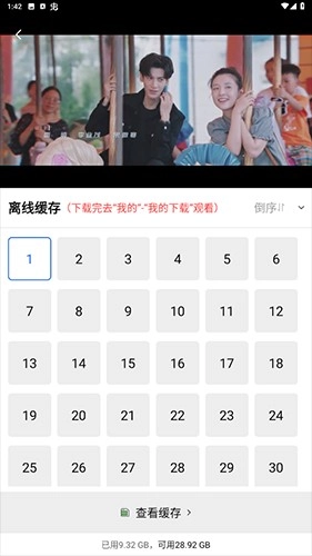 追风视频纯净版