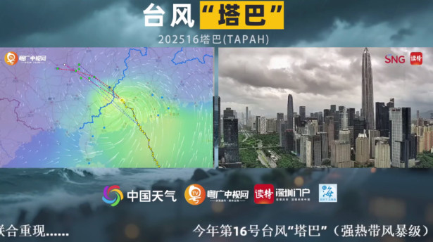 真心TV