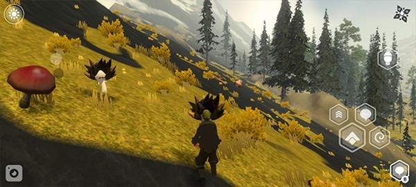 wilderless流浪荒野