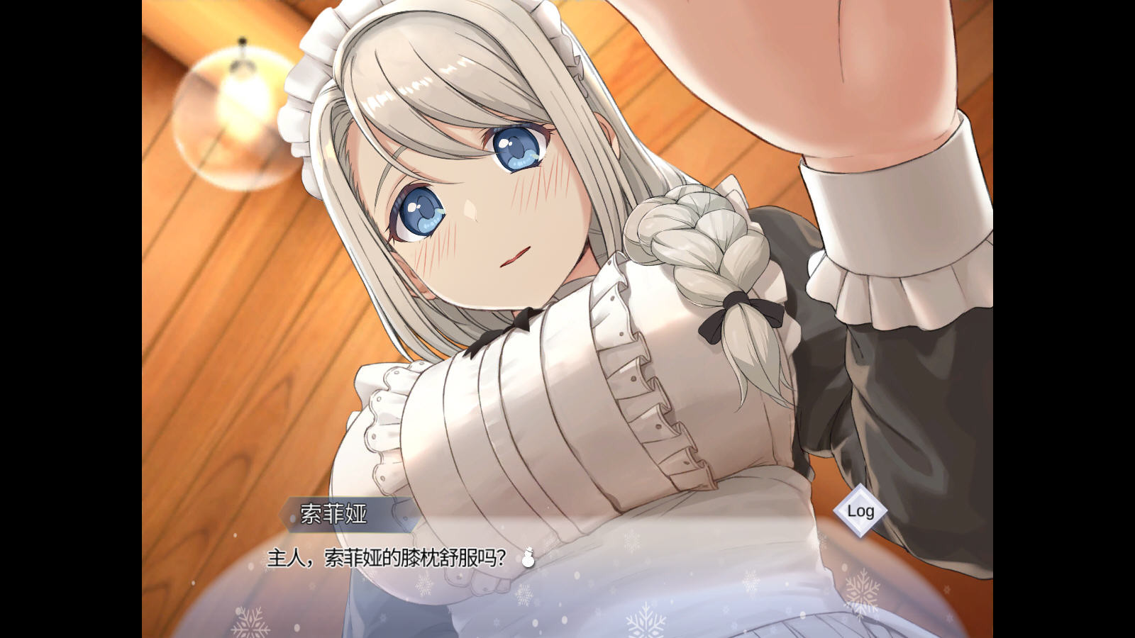 我与索菲亚的秘密中文版