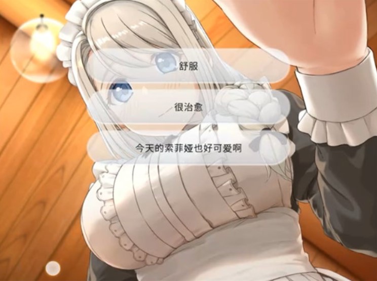 我与索菲亚的秘密中文版