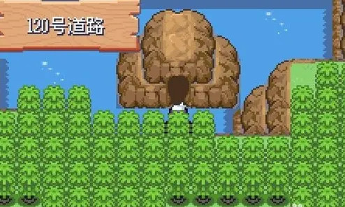 口袋妖怪漆黑的魅影萌版