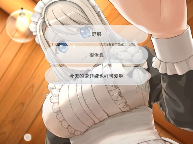 我与索菲亚的秘密