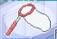 寻找夏日的宝物