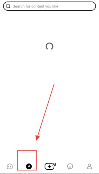 AnyDoor猫箱海外版图片4