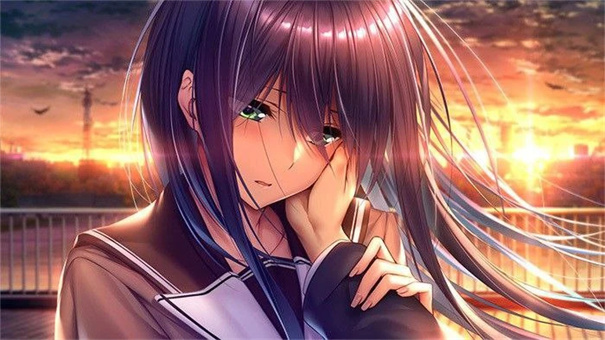 甜蜜女友2安卓汉化版