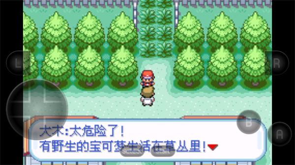 口袋妖怪萌娘版