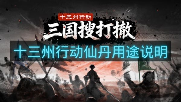十三州行动仙丹用途说明-十三州行动仙丹是什么