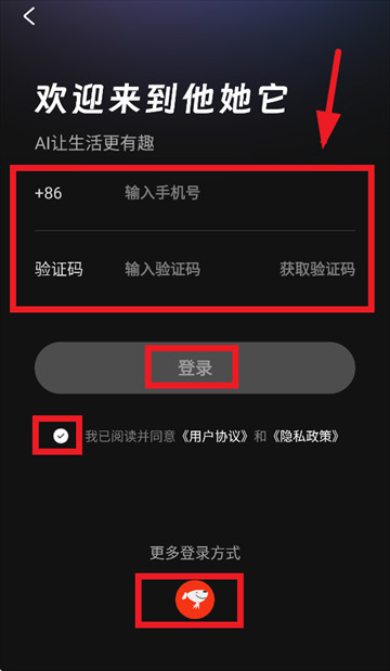 他她它app