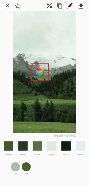 观色配色手机版