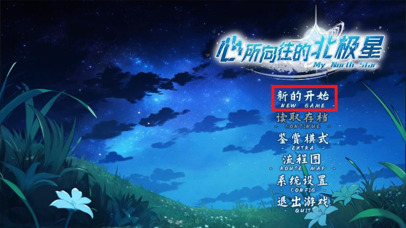 心所向往的北极星