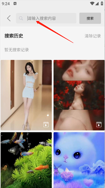 随心手机壁纸app
