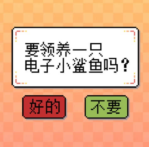 我的小鲨鱼中文版