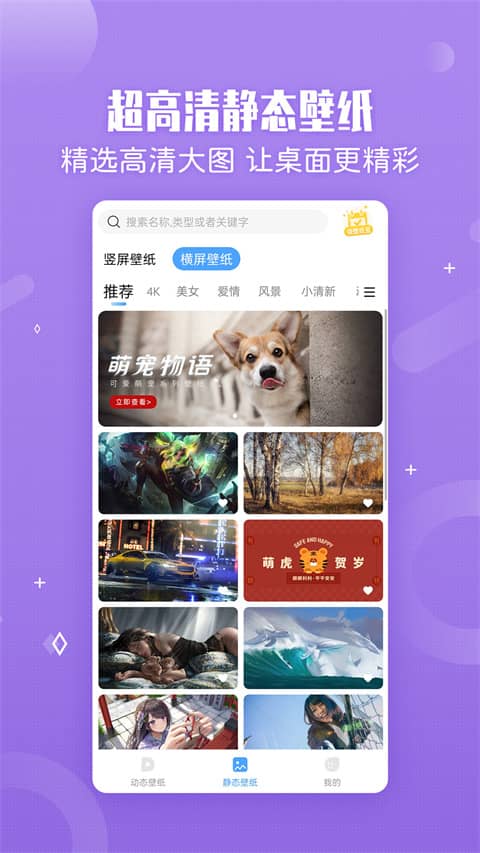 小鸟壁纸手机版