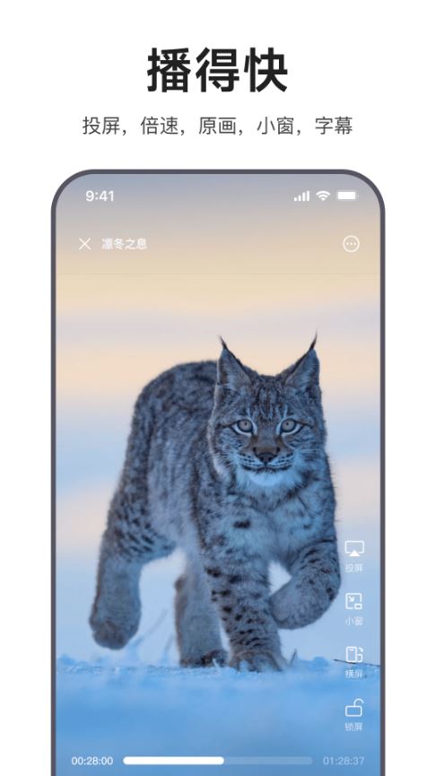 迅雷浏览器正式版