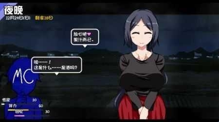 冬日狂想曲汉化版