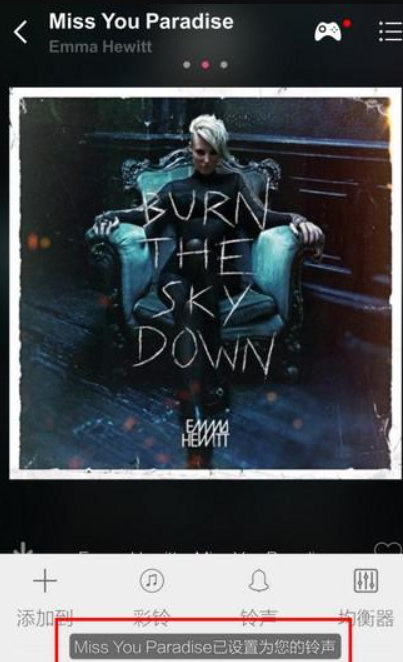 多米音乐播放器