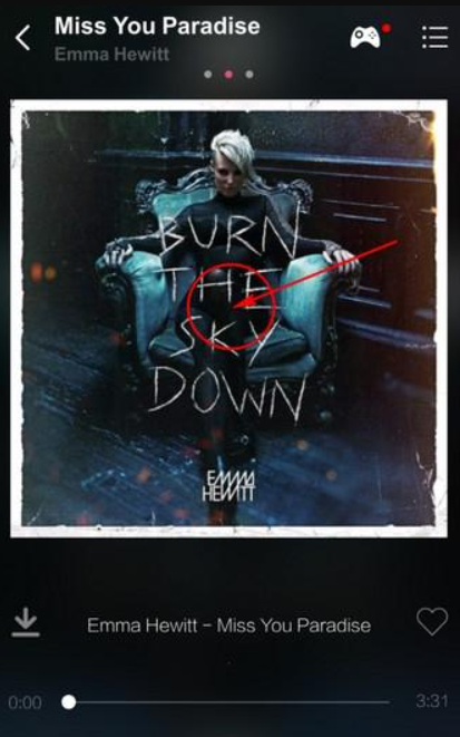 多米音乐播放器