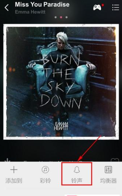 多米音乐播放器