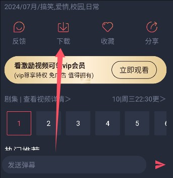 heibai弹幕纯净版