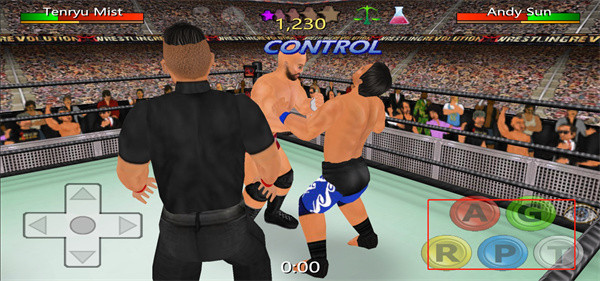 摔跤革命3d最新版中文破解版10