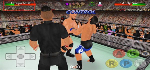 摔跤革命3d最新版中文破解版12