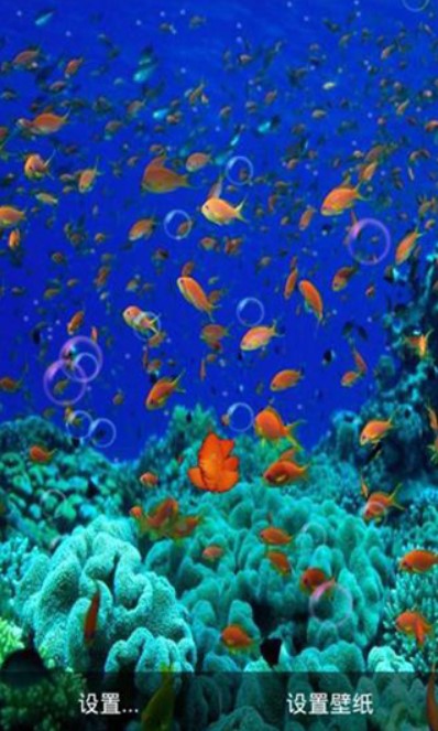 3d海底世界动态壁纸