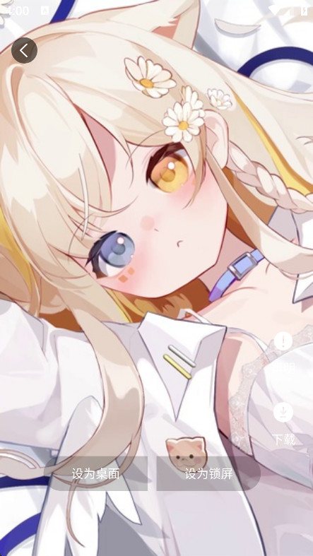 蝴蝶壁纸高清版