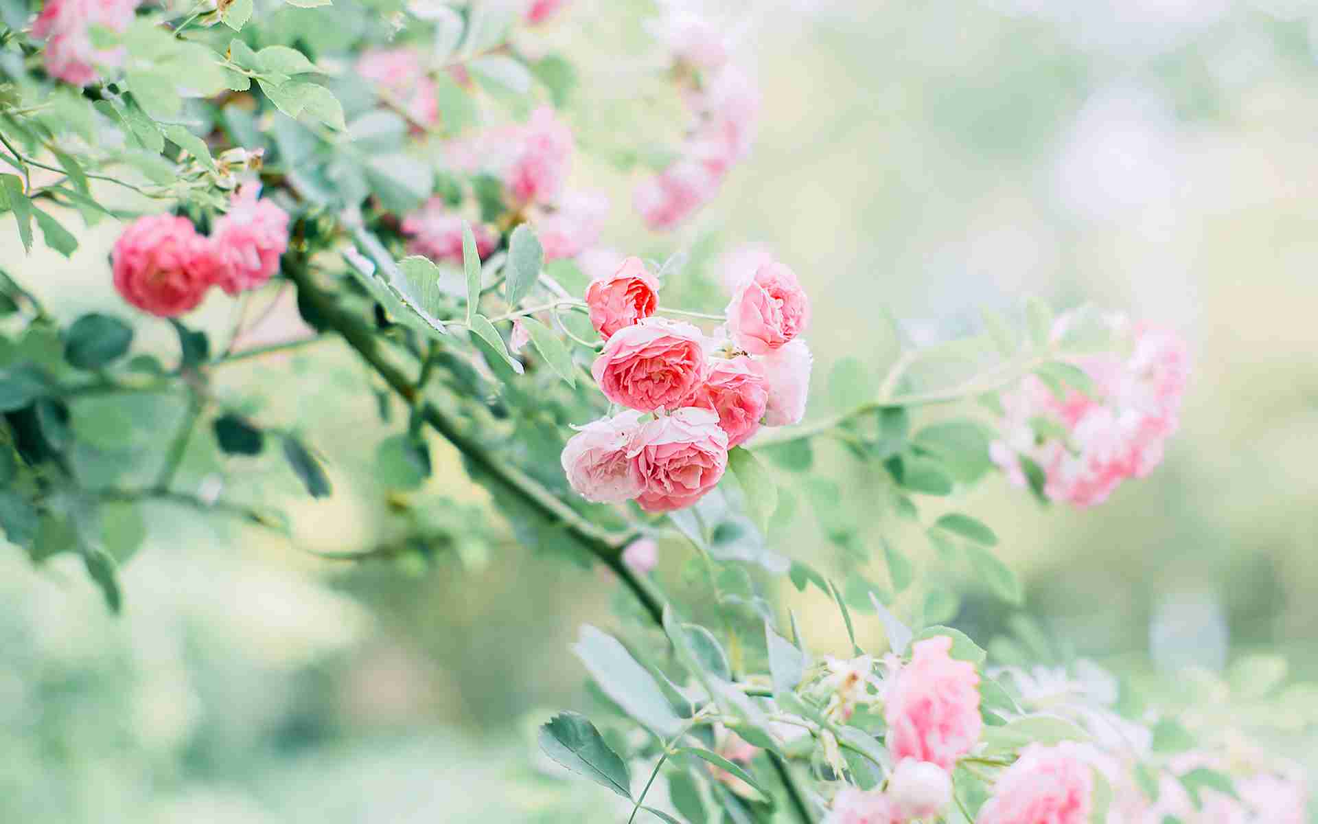 无限制视频影视软件合集